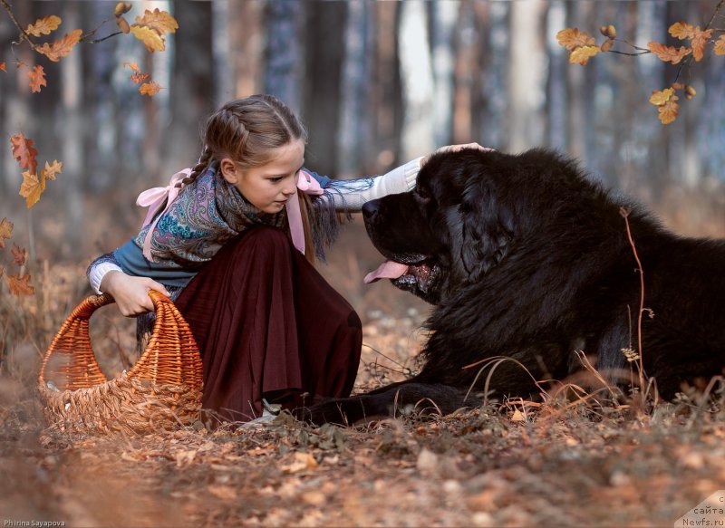 Фотография № 245494