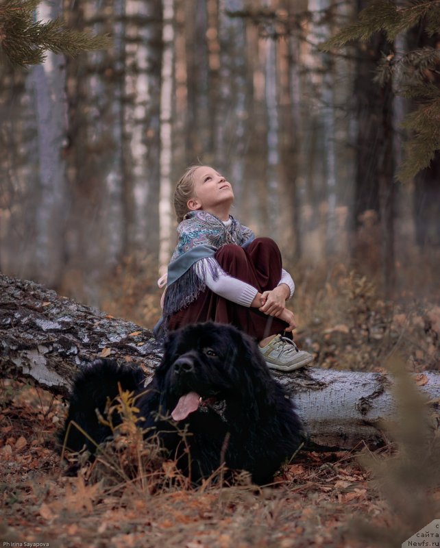 Фотография № 245496