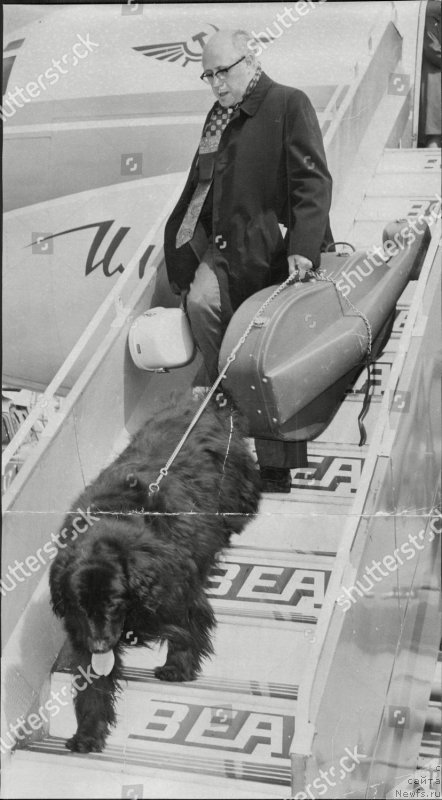 Фотография № 245505