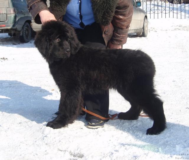 Фотография № 24551