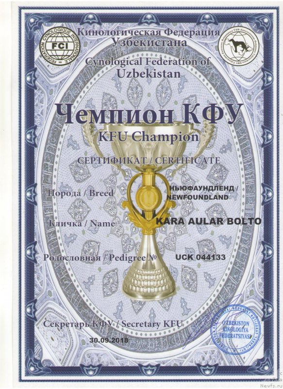 Фотография № 245563