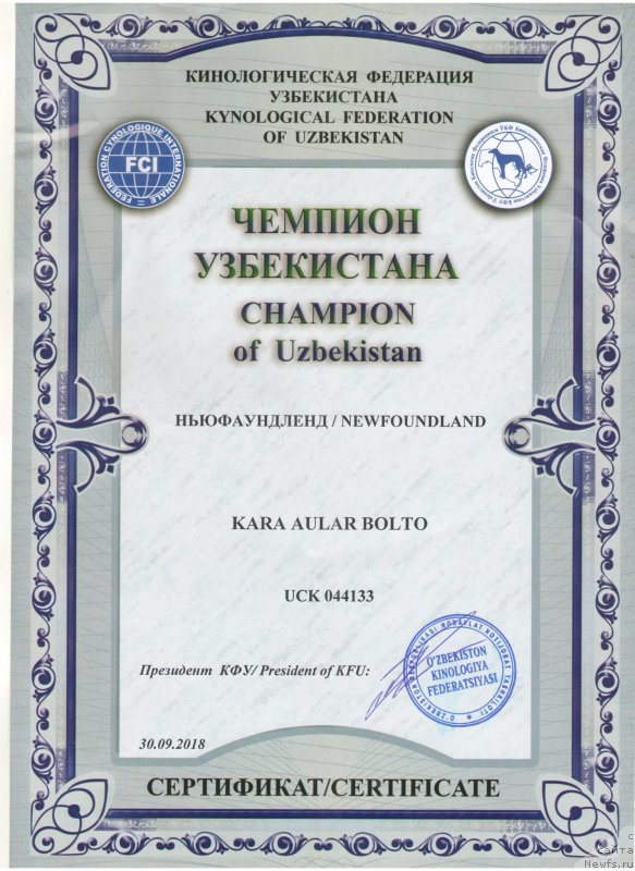 Фотография № 245564