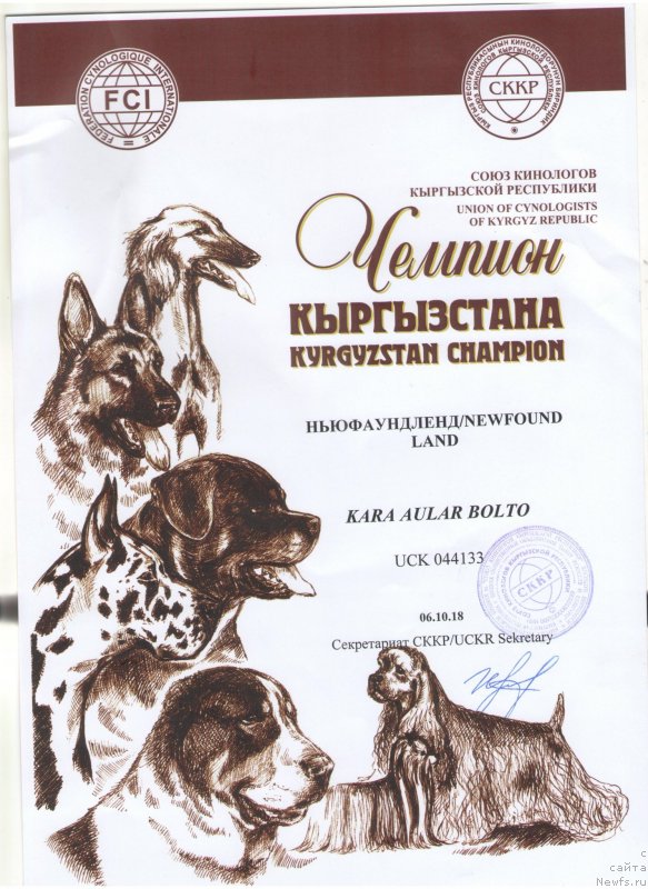 Фотография № 245565