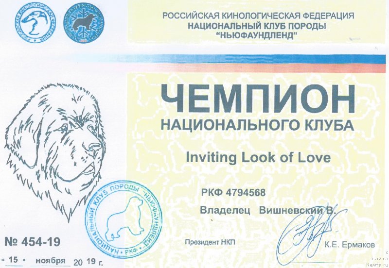 Фото: Вадим Вишневский, ньюфаундленд Инвайтинг Лук оф Лав (Inviting Look of Love)