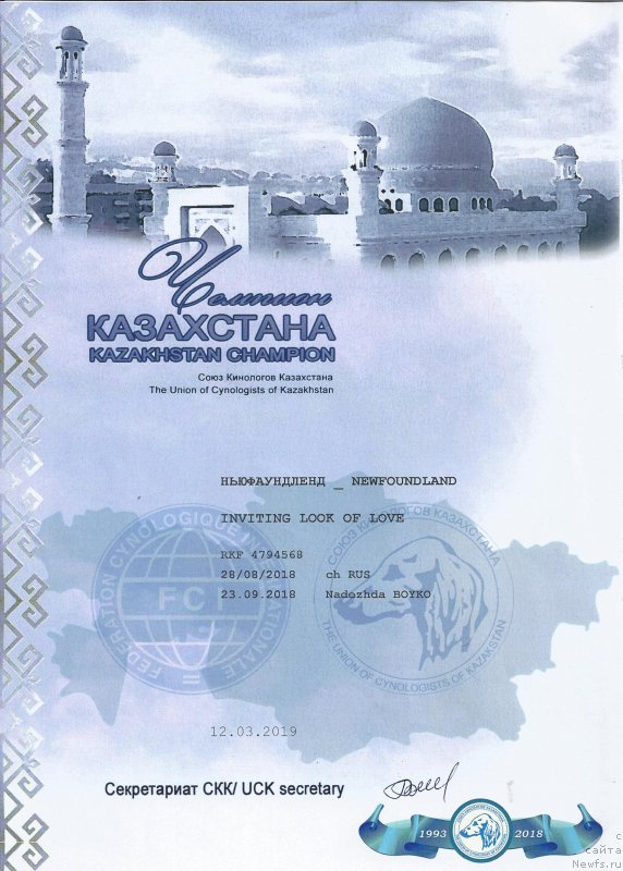 Фото: ньюфаундленд Инвайтинг Лук оф Лав (Inviting Look of Love)