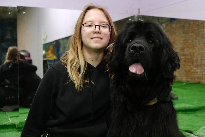 Фото: ньюфаундленд Донатс Прайд Бэт Мидлер