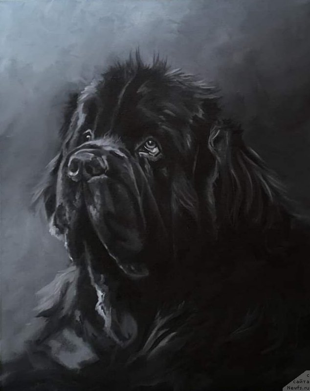 Фотография № 245703