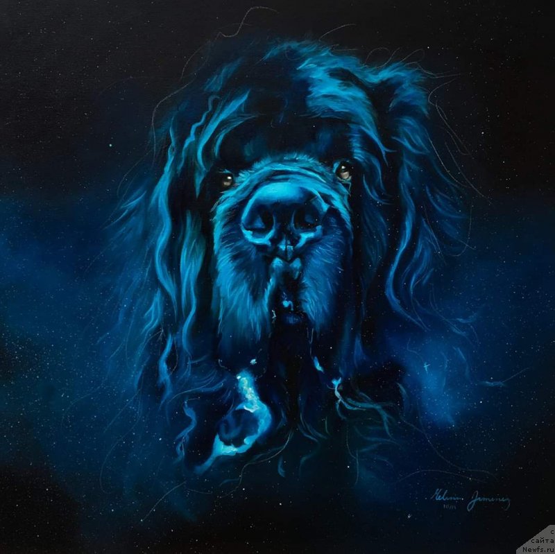 Фотография № 245704