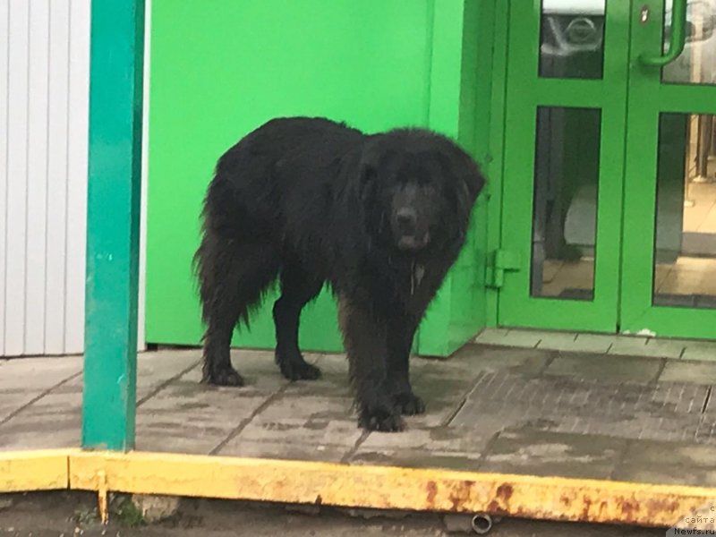 Фотография № 245709