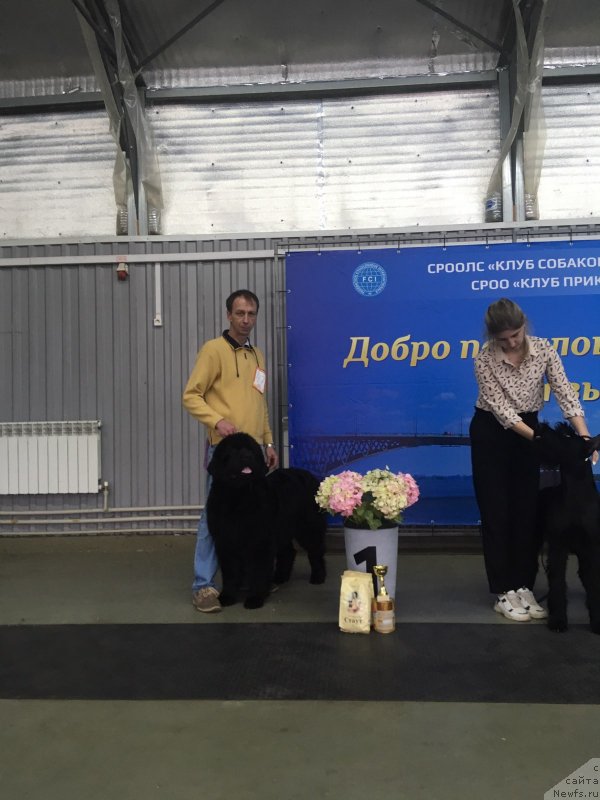 Фото: Андрей Шишинин