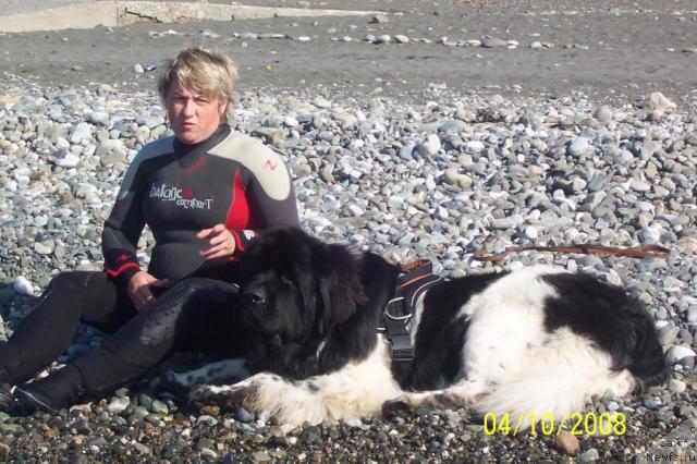 Фото: ньюфаундленд Супер Бизон Айсберг (Super Bizon Aisberg), Инна Зимина