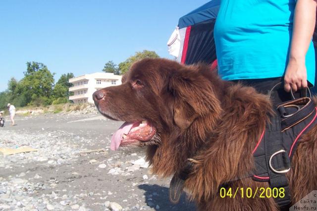 Фотография № 24574