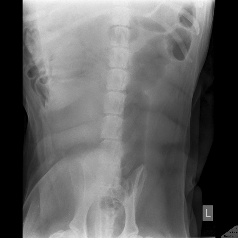 Фотография № 245743