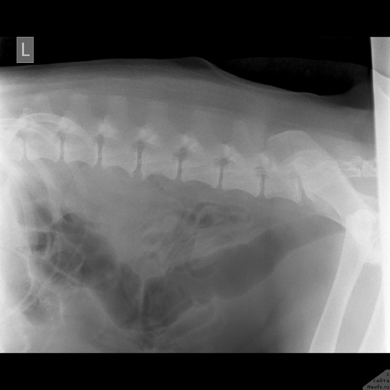 Фотография № 245744