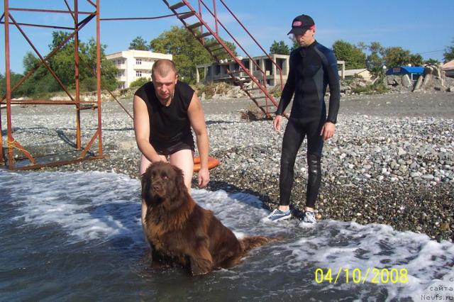 Фотография № 24575