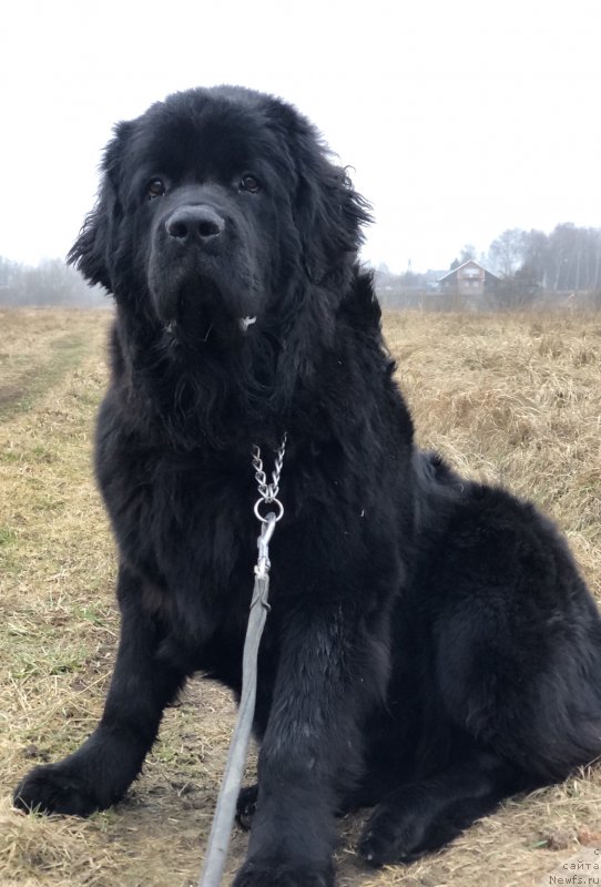 Фотография № 245755