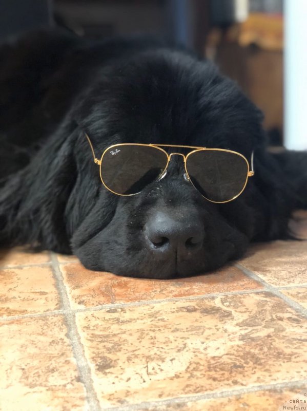 Фотография № 245759