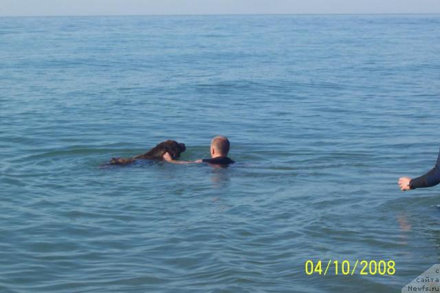 Фотография № 24577