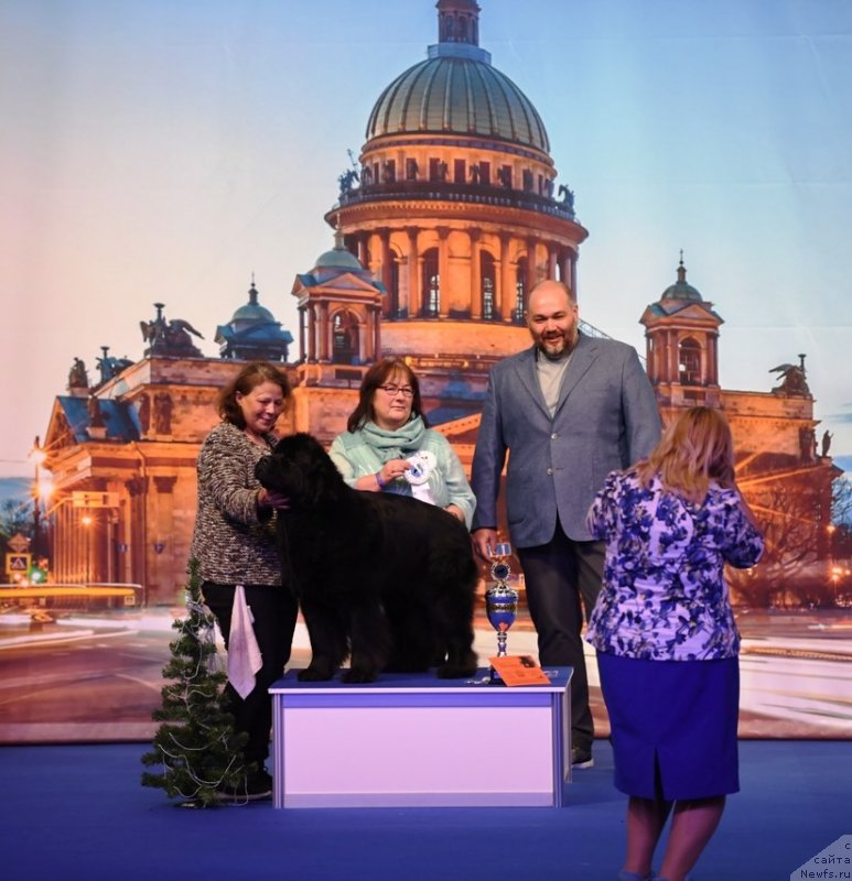 Фотография № 245771