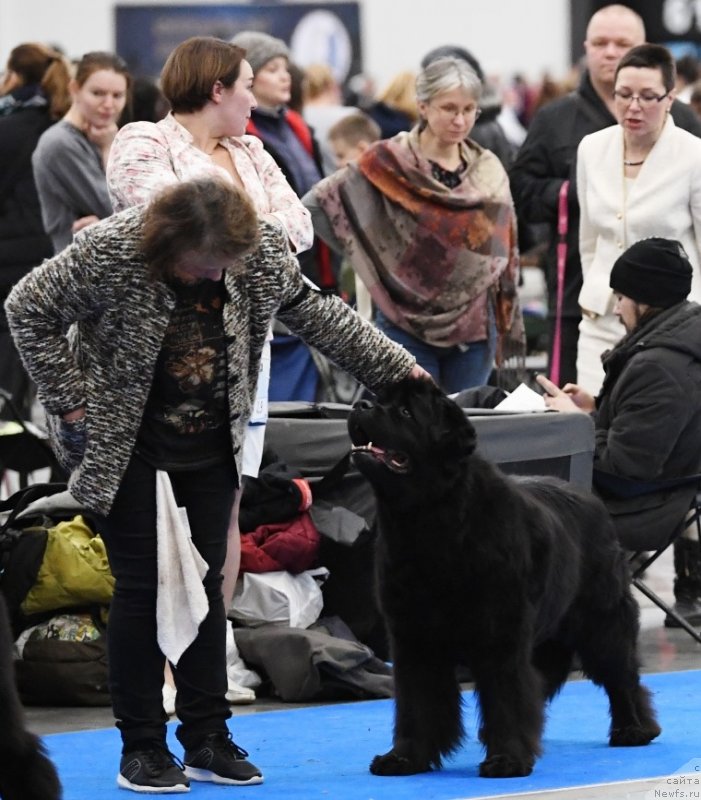 Фотография № 245772