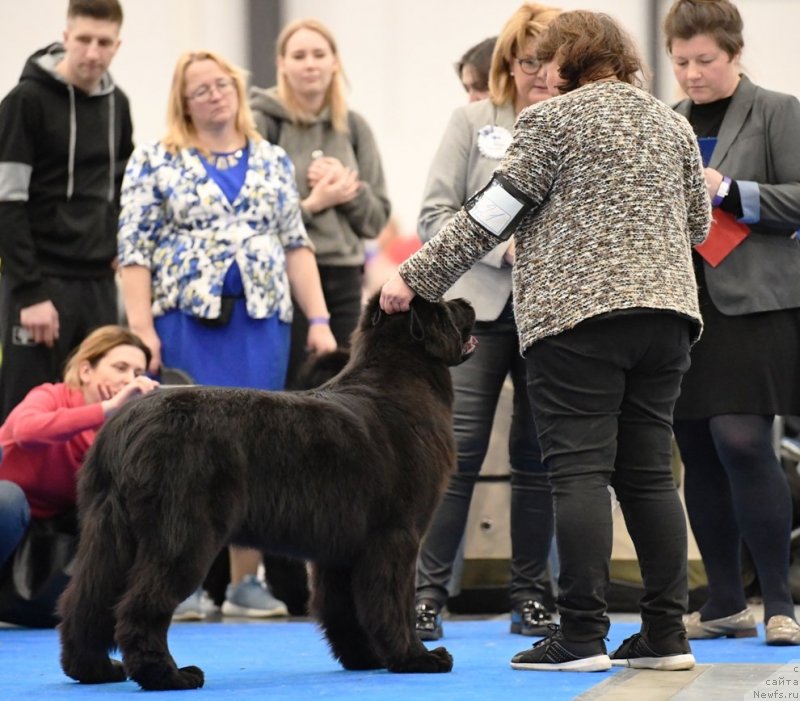 Фотография № 245777