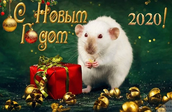 Фотография № 245788