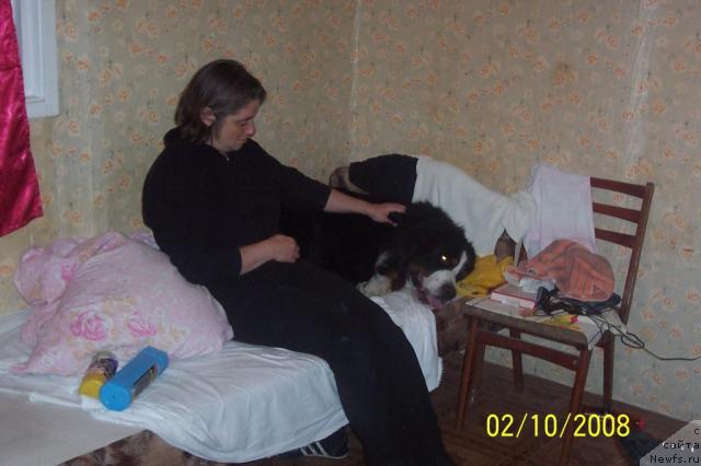 Фотография № 24579