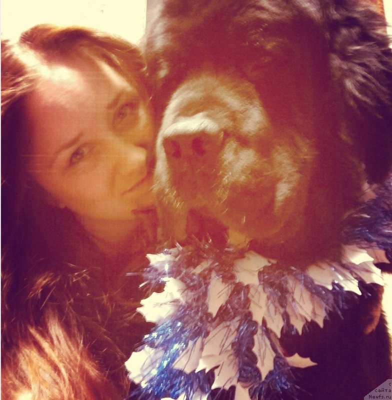 Фотография № 245790