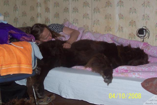 Фотография № 24580