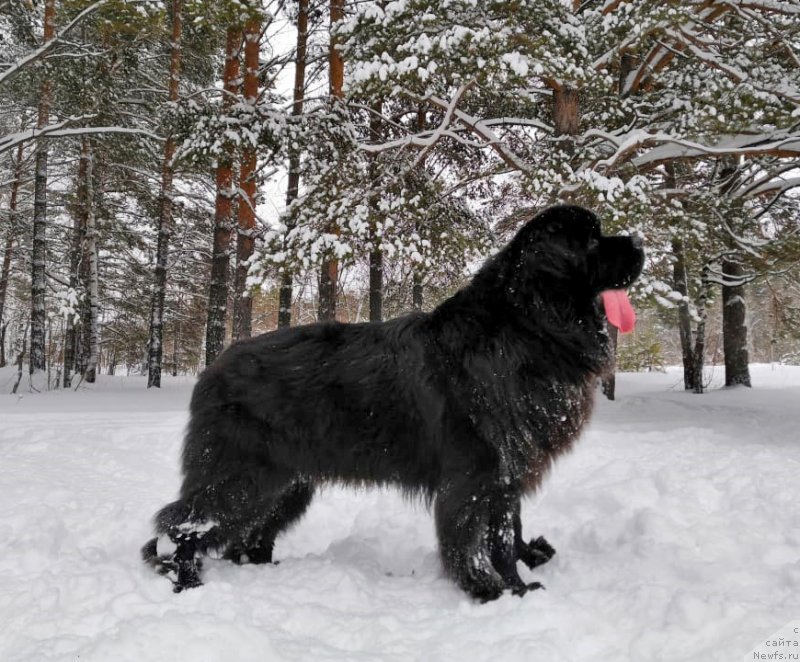 Фотография № 245821