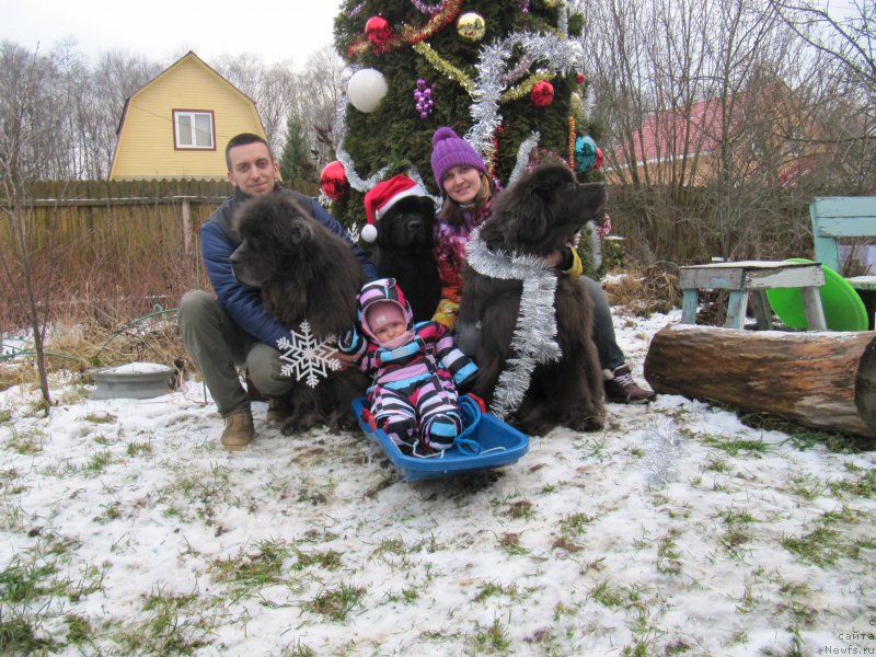 Фотография № 245839