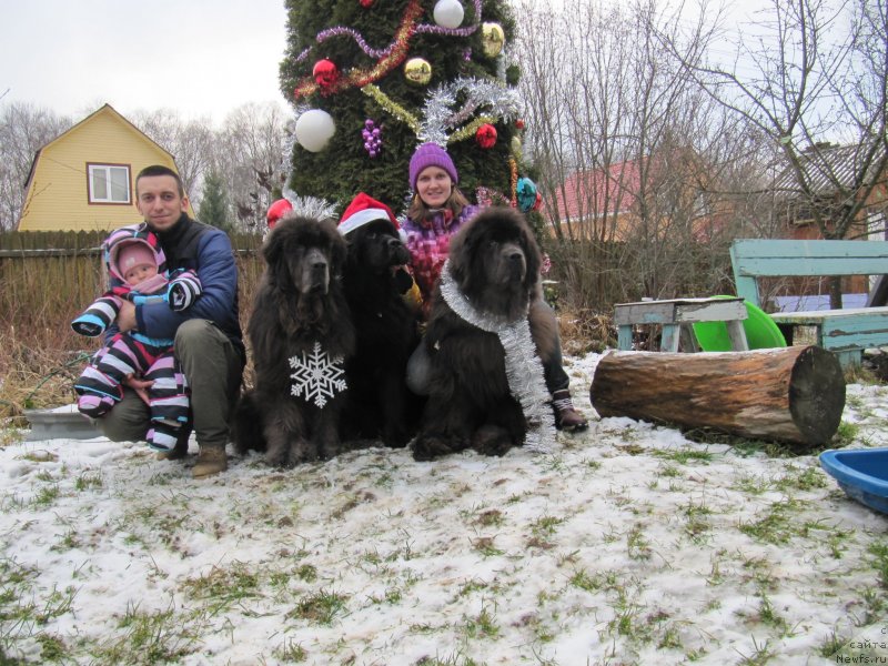 Фотография № 245840