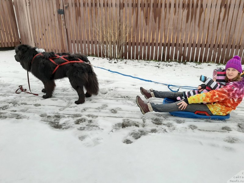 Фотография № 245841