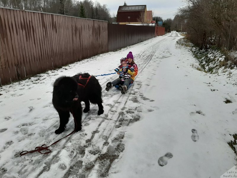 Фотография № 245842