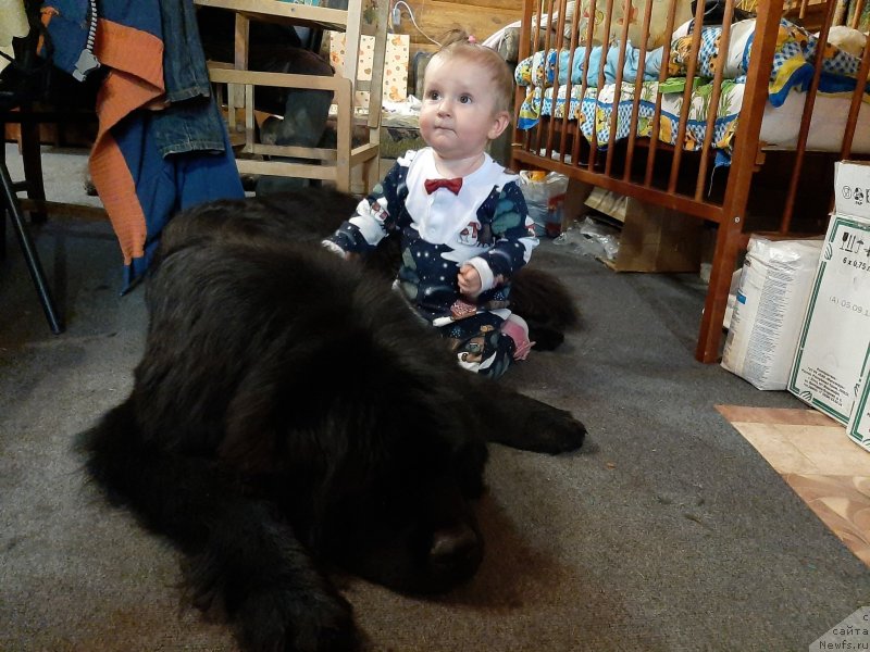 Фотография № 245844