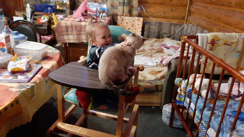 Фотография № 245845