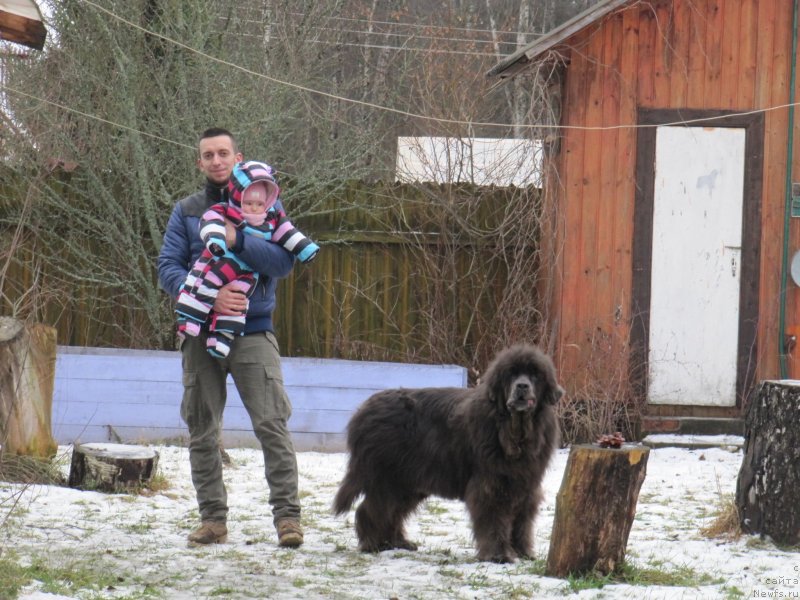 Фотография № 245846