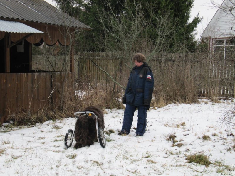 Фотография № 245847