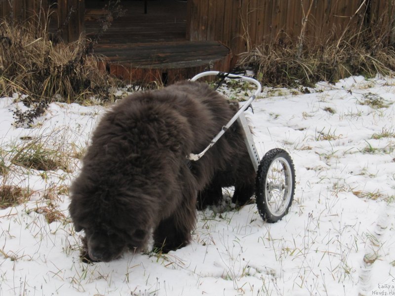 Фотография № 245848