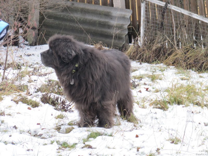 Фотография № 245849