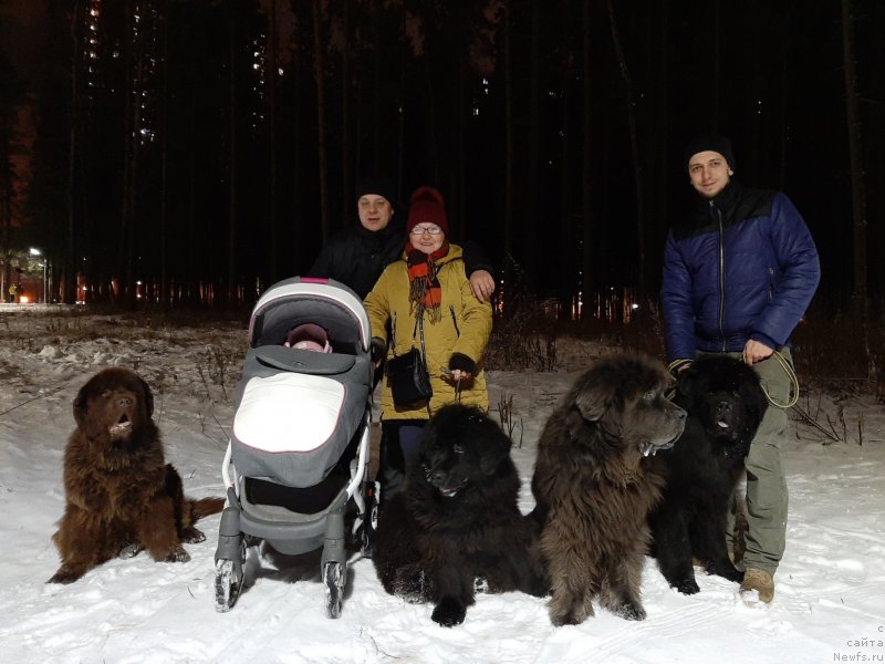 Фотография № 245850