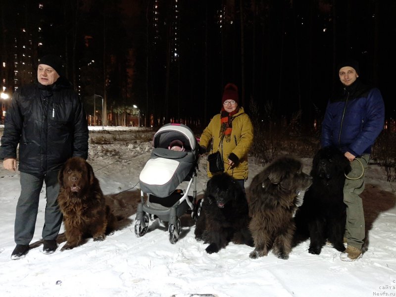 Фотография № 245851