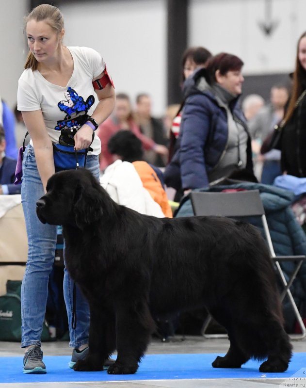 Фотография № 245855