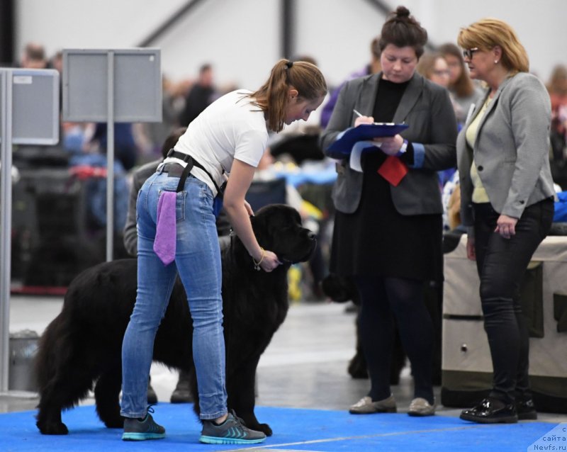 Фотография № 245856