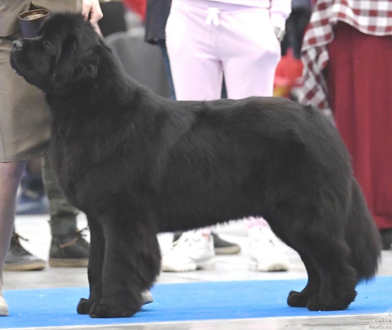 Фотография № 245860