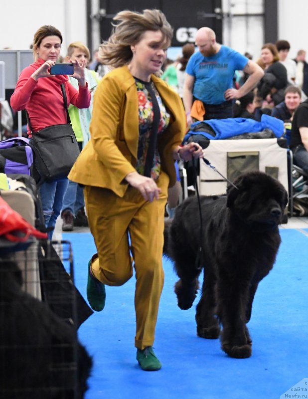 Фотография № 245873