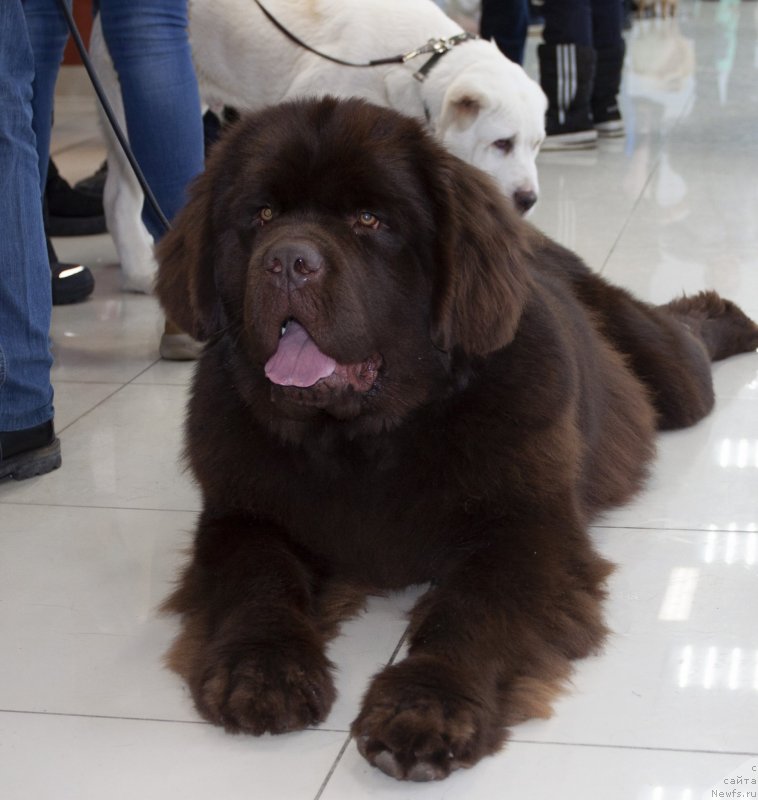 Фотография № 245913