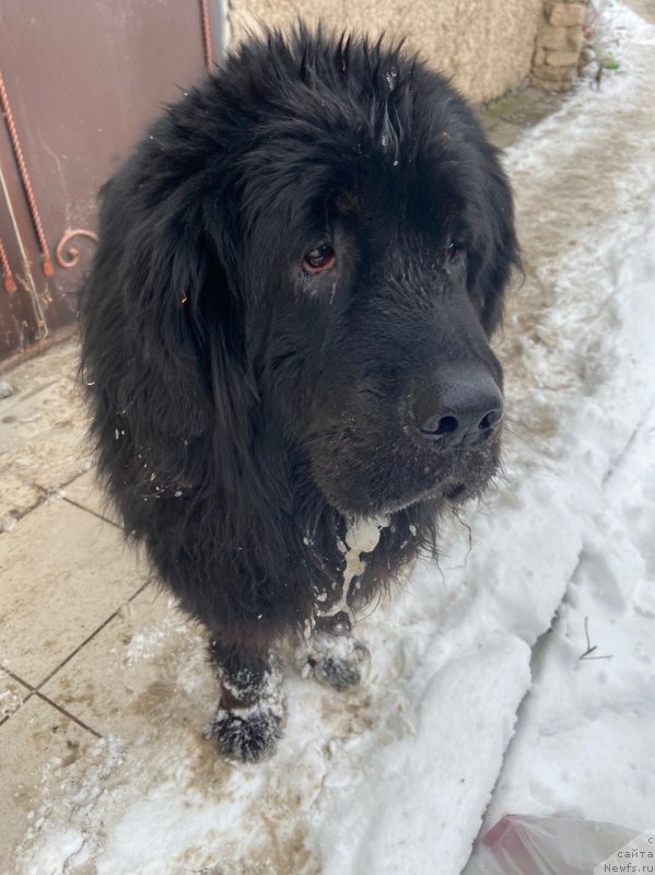 Фотография № 245916