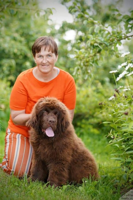 Фото: ньюфаундленд Обуш Шед Мэйд ин Юрал (Obush Shed Made in Ural)