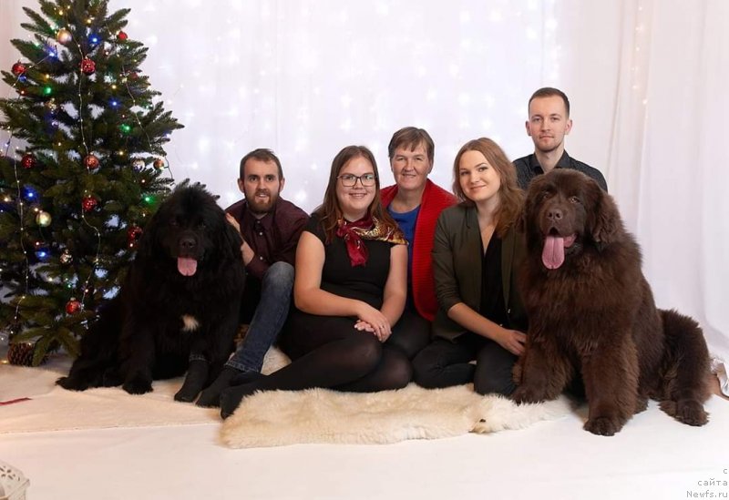 Фото: ньюфаундленд Обуш Шед Мэйд ин Юрал (Obush Shed Made in Ural)